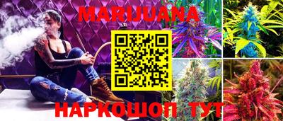 СК Пугачёв