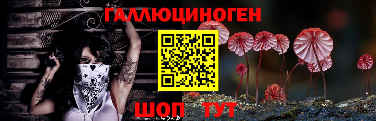 купить  цена  Галлюциногенные грибы мицелий  Вход с VPN  Орск 